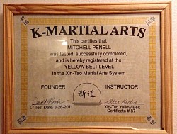 Yellow belt certificate