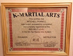 Redbeltcert