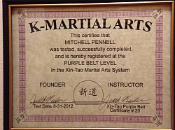 Purplebeltcert